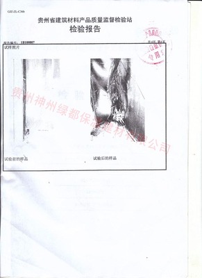 检验报告